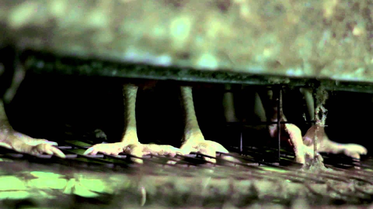 TRAILER DOCUMENTAL "LA CÁSCARA ROTA"