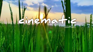 Download lagu Cinematic video sawah pakai camera HP | #cinematic #sawah #relaxing #pemandangan mp3 Download lagu Cinematic video sawah pakai camera HP | #cinematic #sawah #relaxing #pemandangan mp3