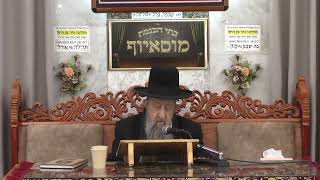 הרב בן ציון מוצפי | קריאת התורה (בית הכנסת מוסאיוף) - התמונה מוצגת ישירות מתוך אתר האינטרנט יוטיוב. זכויות היוצרים בתמונה שייכות ליוצרה. קישור קרדיט למקור התוכן נמצא בתוך דף הסרטון