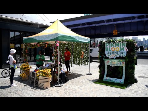 Pikmin Bloom Community Day at South Seaport District in NYC