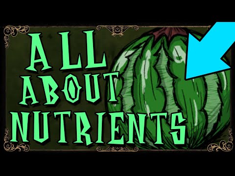 THE ULTIMATE NUTRIENT GUIDE | Don't Starve Together Guide