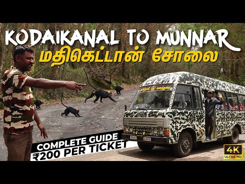 Kodaikanal Forest Van Safari | Mathikettan Solai | Breijam Lake | Kodaikanal Tourist Places In Tamil