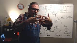 Love Addiction Avoidant Addiction Cycle