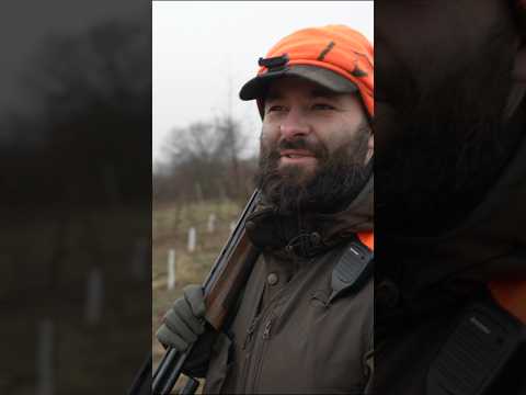 Zające w Grójcu 2025 zapowiedź  #huntinglife #polowanie #hunting #drivenhunt