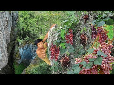 adventure in forest - Use Life In Jungle Find Fruits are food - hungry men Eating delicious