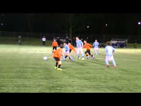 Samenvatting Hermes DVS D2 -  HBSS D1