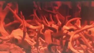 Lost boys final fight to rap beat