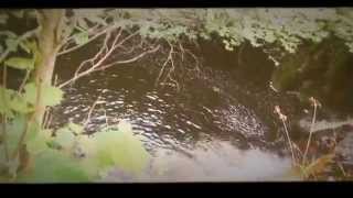 Sloughan Glen Forest Park Northern Ireland County Tyrone