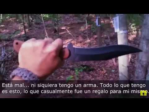 Espeluznante recorrido por el bosque