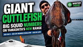 Download lagu Giant Cuttlefish & Big Winter Squid Numbers | New Yamashita EGI-OH Range mp3 Download lagu Giant Cuttlefish & Big Winter Squid Numbers | New Yamashita EGI-OH Range mp3