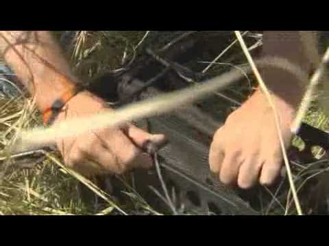 Dogtra RR Deluxe Additional Receiver 1 Mile Video