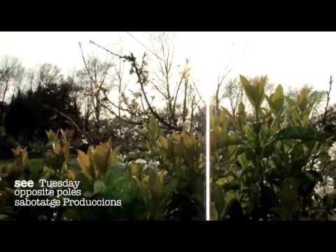 see- tuesday morning conversation