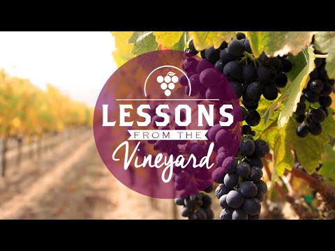 Lessons From the Vineyard | The Father's Role Pt. 1