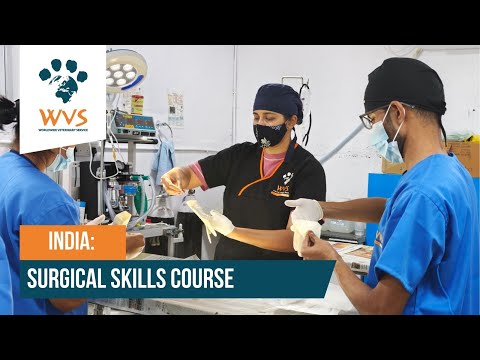 Surgical course in Bangalore 🩺