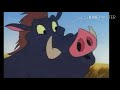 Stp Pumba On Homo