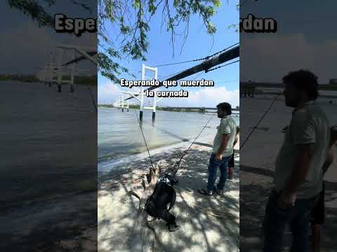 🎣 Nos fuimos a complacer a mi gringo… ¡Pescando en Ciénaga, Magdalena! 😂