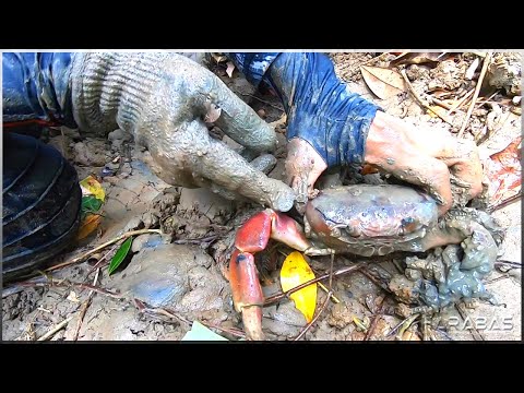 EP292-Part1 - Pandudukot ng Kuray | Catch 'n Cook | Occ. Mindoro