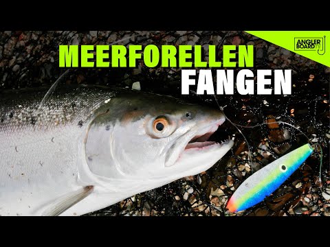 Meerforellen angeln an der Ostsee | Watangeln auf Meerforelle | Fischen auf Mefo | Anglerboard TV