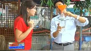 News to Go - Solar bulbs light up Laguna community 3/11/11