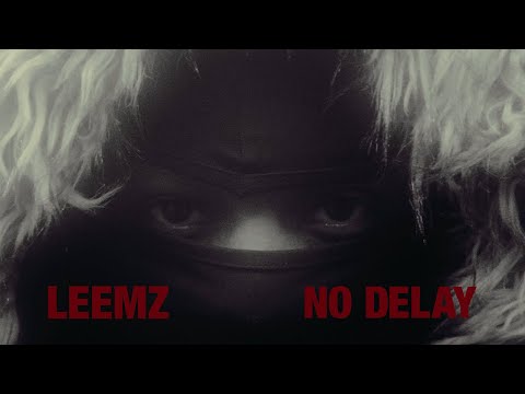 Leemz - No Delay