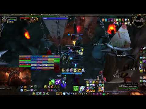 WoW TBC Classic: GRUUL Lair FULL RAID. Resto Shaman Healer