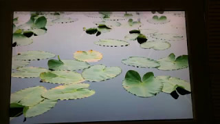 Video thumbnail for 23" Apple Cinema HD Displays Overview by dosdude1
