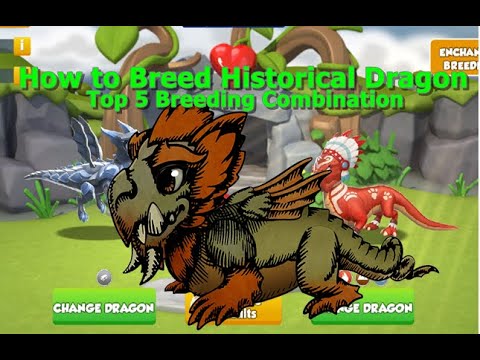 How to Breed Historical Dragon-Dragon Mania Legends | Top 5 Breeding Combination Historical Dragon