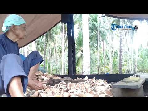 Harga Kopra Turun, Ini Harapan Warga Selayar