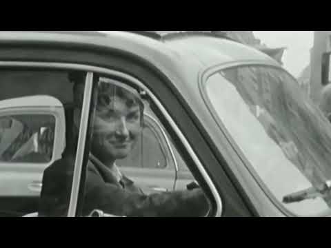 Olympic – Kamenožrout zelený