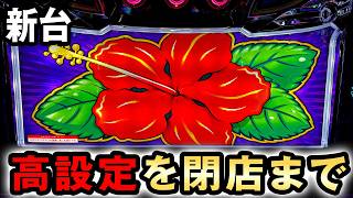 【新台】ダークハイビの高設定を閉店まで打った結果？ 桜#848