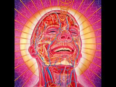 Michele Adamson feat perplex feat intersys blondinit