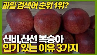 털이 없는 신비,신선 복숭아 요즘 인기가 많은 이유는?