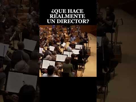 🎻MOMENTOS DÓNDE LOS COMPOSITORES TOCARON EL CIELO #compositores#orquesta #mahler #bernstein #musica