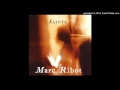 Happiness is a warm gun (Marc Ribot)