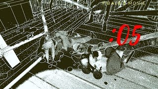 【実況】 何も理解できないオブラディン号の謎：05 【Return of the Obra Dinn】