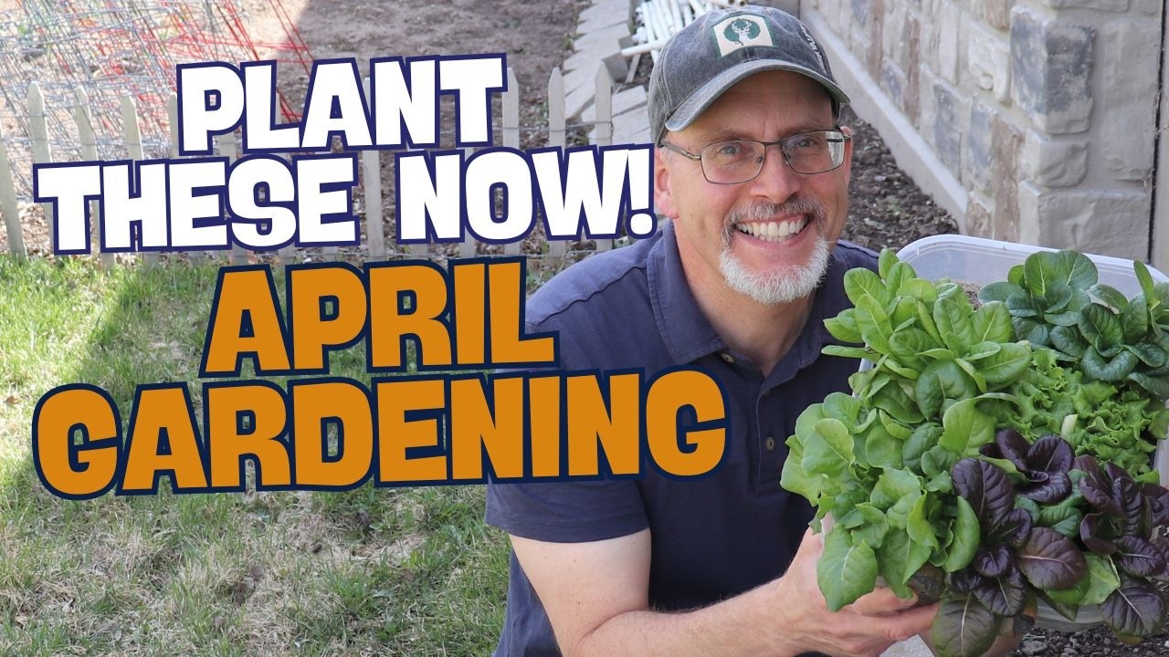 What to Plant in April – Vegetable Garden Planting Guide for Zones 5, 6 & 7