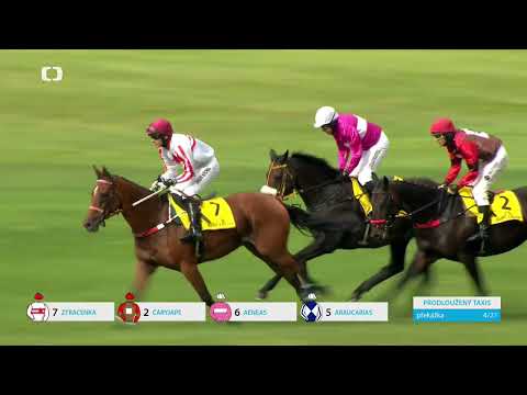 6. 9. 2025 - 6. dostih - Velká cena města Pardubic – EURO EQUUS – IV. kvalifikace na 135. Vp se Sp