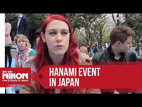 行け！行け！（うなり声）日本のお花見イベント～2014年 (Go! Go! Nihon Hanami Event in Japan - 2014)