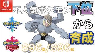【ポケモン剣盾】不人気ポケモン下位から育成８９６カイリキー【８９６位／８９６匹】