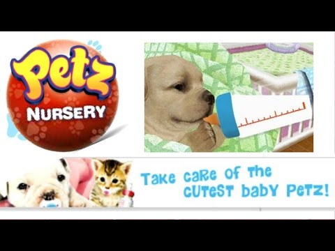 Petz : Hamster Superstar Nintendo DS