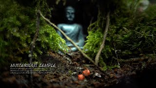 Lost World Temple in the moss cave Terrarium for Panda King isopods l stepbystep