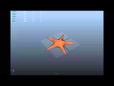 starfish animation
