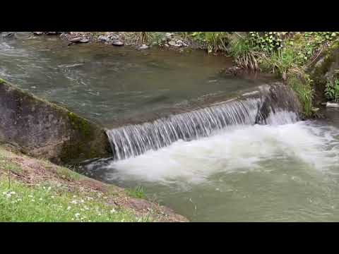 Euskadi Arrigorriaga- La Peña- Montefuerte Parguea-Bolueta. 2022.