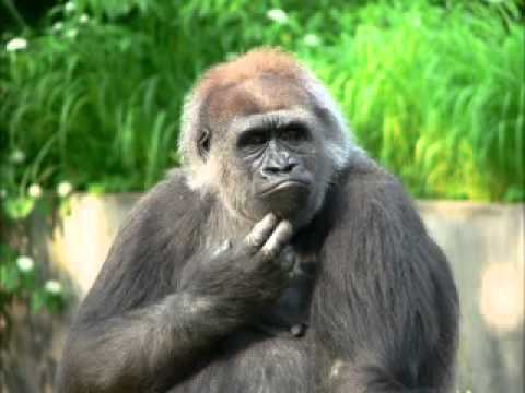 Raghza & PK - Luba Ma Mõtlen