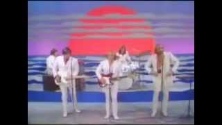 Beach Boys - Do It Again - OnTV