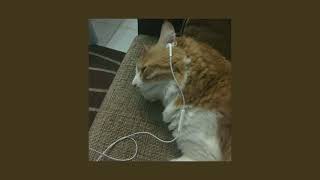 in the back of my mind sped up