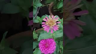 Download lagu #aisaq🤔 mp3