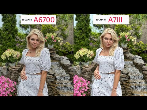 Sony A6700 Vs Sony A7III | Camera Test Comparison