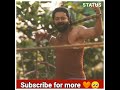 Kantara Boys Attitude Status Kantara Movie Shorts Viral Boys Killar Attitude Status