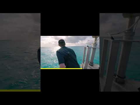 Thumbnail for $1 vs $250,000,000 Private Island! №15 #shorts  #mrbeast #shortsvideo #video by video inst